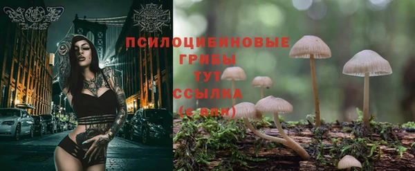 мяу мяу кристалл Богданович