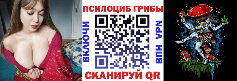 мега вход  shop официальный сайт  Псилоцибиновые грибы мухоморы  Кировск 